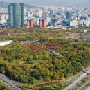 내곡동404 이미지