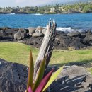 쉐라톤 호텔 부근 이미지