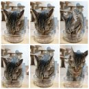 굿메딕스 이미지