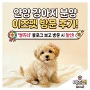 이즈펫 강아지분양 고양이분양 본점 | 안양 강아지분양 고양이 분양 이즈펫 본점 방문후기(feat.블로그방문혜택)