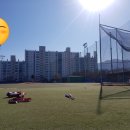 창녕통닭 이미지