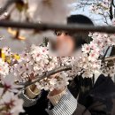 영진상록(아)경로당 | 여유로웠던 4월 ෆ˙ᵕ˙ෆ