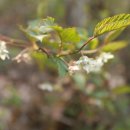 풍암한방병원 이미지