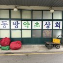 동방약초