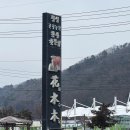 화수목 | 횡성 한우 맛집 화수목｜가성비 좋은 횡성한우 정육식당 내돈내산 후기