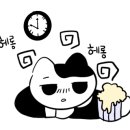 애견용품할인점
