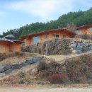 지리산순이네흙집민박 | [생생정보 22489회 오늘] 숙소를 찾아 줘!ㅣ자연 속 촌캉스 숙소ㅣ순이네흙집ㅣ3월 3일 방송 맛집 정보