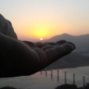 해맞이농장 이미지