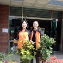 유촌초교 이미지