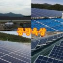 해바라기 태양광발전소 이미지