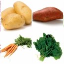 음식물과 유방암과의 관계 이미지