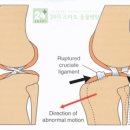 24시스마트동물메디컬센터 이미지