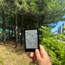 2026년 독서이야기/ 상반기 독서 결산(~06.19)