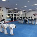 용인대양지태권도장 네이버블로그