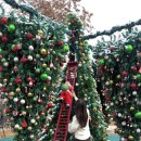 여주-0011 이미지