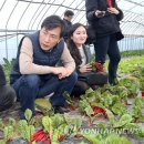 김정남농장 이미지