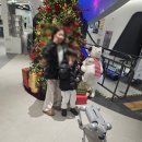 신기한 로봇,코딩B | "여기 진짜 미래인가요?" 창동 서울로봇인공지능과학관(RAIM) 완벽 정복기! (주차/예약/관람팁)