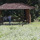 쾌청농장 이미지