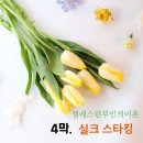 한울타리극단 &#34;셀레스틴부인의 이혼&#34; (4막.실크스타킹) 이미지