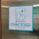 24시 블루밍 동물병원 네이버블로그