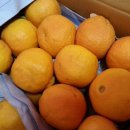 훈 농장 이미지