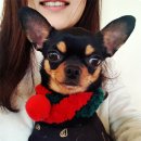피아카페