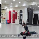 동양킥복싱MMA 이미지