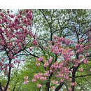 면천군자정 이미지