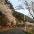덕곡길 이미지