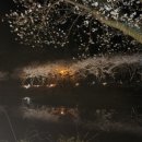 동신대학교 미래학사 앞 이미지