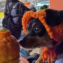 비짓스테이 이미지