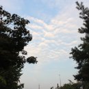 여울목시골밥상 이미지