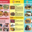 진동미더덕 네이버블로그