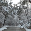 미사벨리 이미지