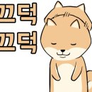 그린펫클럽 네이버블로그