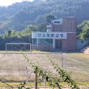 대청초등학교소청분교장 Daum카페