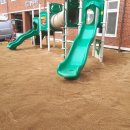 강남초등학교병설유치원 이미지