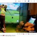 BJ스크린골프 이미지
