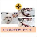 해운대 플러스동물병원 이미지