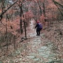 봉무공원 만보산책로 | 봉무공원 주차장에서 만보산책로,구절송전망대. 단산지