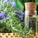 로즈마리 이미지