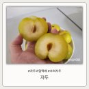 낙원농장 | 자두 과일택배 농장직송 신선함이 가득찬 추희 자두 낙원농부 후기