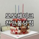 신선1호 | 천안 불당동 모모케이크 1호 후기 크리스마스 생일 기념일 레터링 커스텀 케이크 추천
