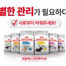 로얄맘 이미지