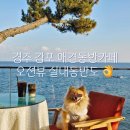 연안애견 | 경주 감포 애견동반카페 오션뷰 실내 동반도 가능한 히든씨