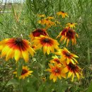 합천군산림조합 이미지