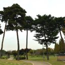 화랑유원지 E동 미술관앞 화장실 | 안산가볼만한곳. 안산 단풍구경 하기 좋은 화랑유원지