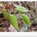 석영농장 이미지