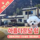 아름다운날 쉼 네이버블로그