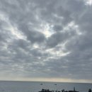 멀리 제주 | 제주 돌고래 후기｜출몰 지역 위치·시간대·촬영 팁 정리 (ft.제주 돌고래 스팟)